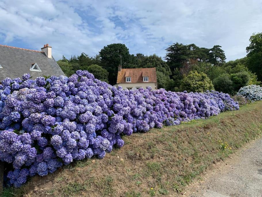 La Petite Bretonne Villa Plounerin Exterior photo